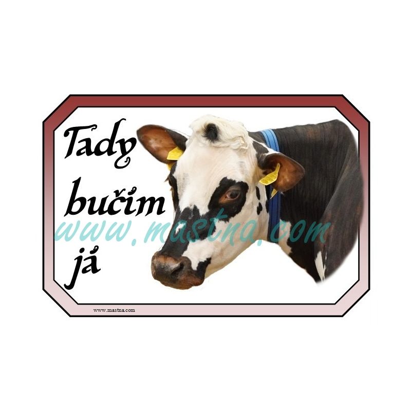 Kráva normandská, normandský skot, dobytek, cedulka bučím