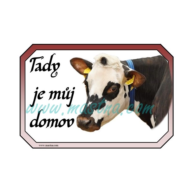Kráva normandská, normandský skot, dobytek, cedulka domov