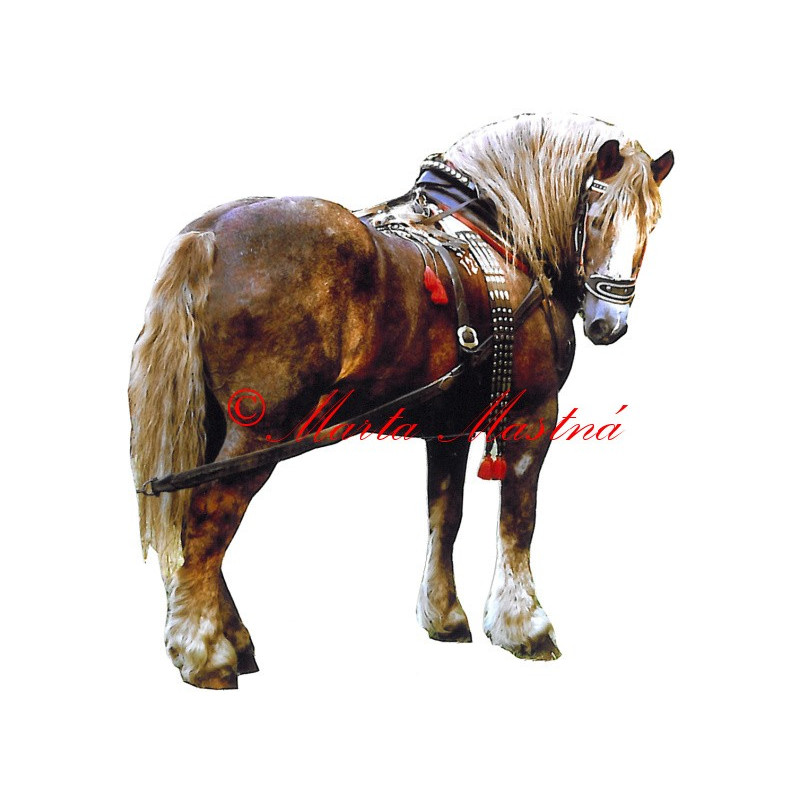 Samolepka kůň českomoravský belgik Makon