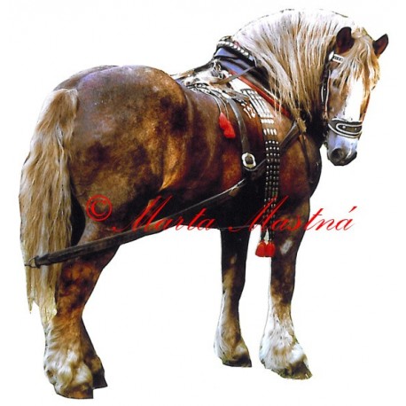 Samolepka kůň českomoravský belgik Makon