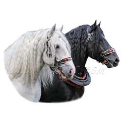 Chladnokrevníci, belgici, samolepka koně, hlavy Agy a Barbar