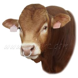 Limousine, skot, samolepka býk 2