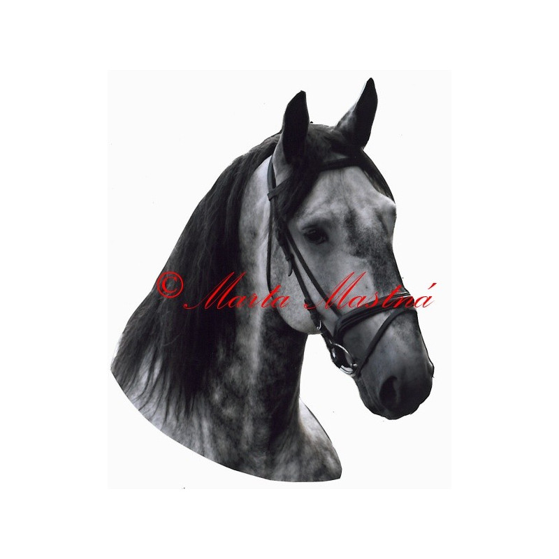 Samolepka kůň teplokrevník grošák