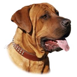 Samolepka tosa inu 91