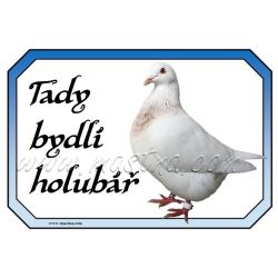 Holub texan, holubář