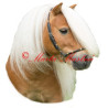 Samolepka kůň shetlandský pony Permoník