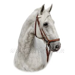 Starokladrubský kůň, bělouš, samolepka oboustranná