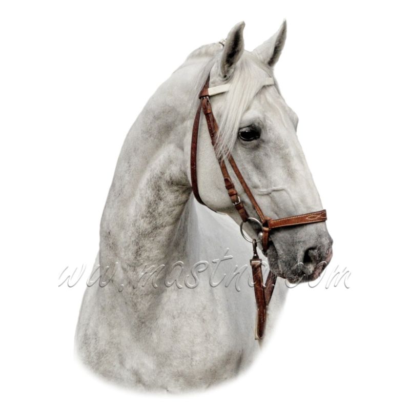 Starokladrubský kůň, bělouš, samolepka oboustranná