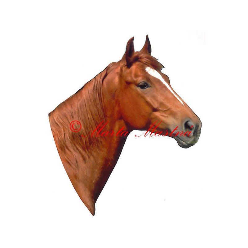 Samolepka kůň teplokrevník ryzák