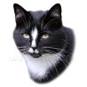 Kočka evropská černá s bílou, samolepka oboustranná