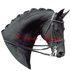 Samolepka kůň teplokrevník , drezura