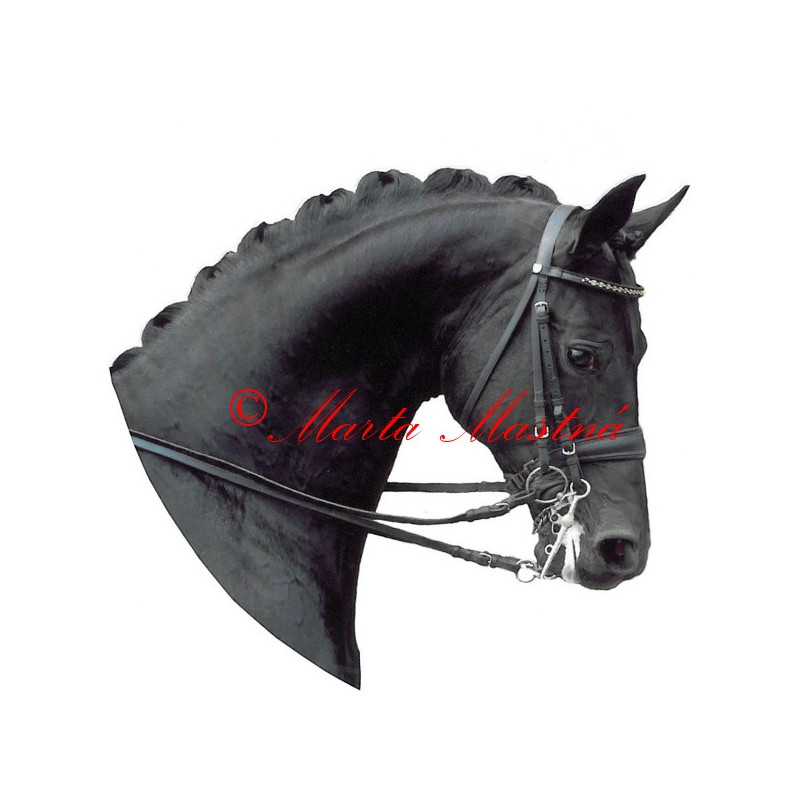 Samolepka kůň teplokrevník , drezura