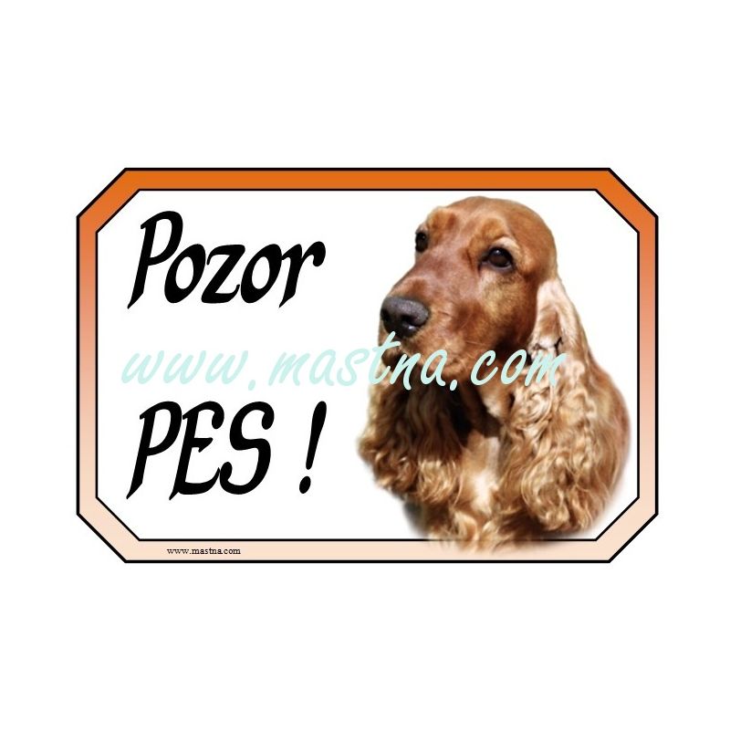 Cedulka kokršpaněl zlatý