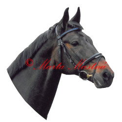 Samolepka kůň teplokrevník , hnědák