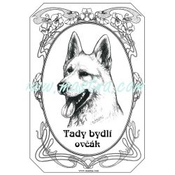 Cedulka švýcarský bílý ovčák ovál 2