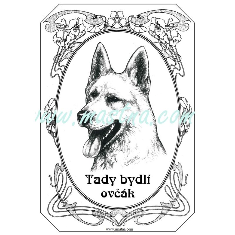 Cedulka švýcarský bílý ovčák ovál 2