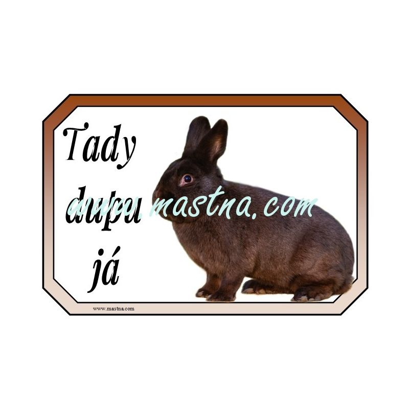 Cedulka králík havana 2