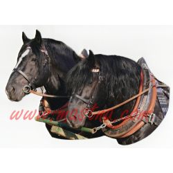 Norik vraníci, spřežení, samolepka oboustranná