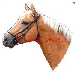 Samolepka kůň teplokrevník, Kinský