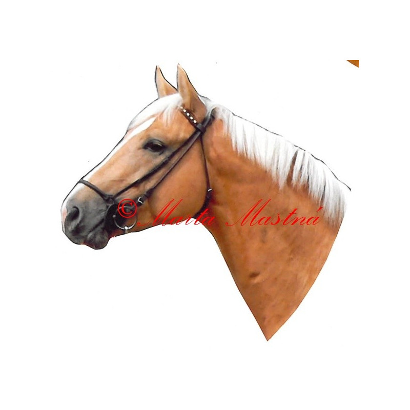 Samolepka kůň teplokrevník, Kinský