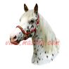 Samolepka appaloosa, kůň, koně 170