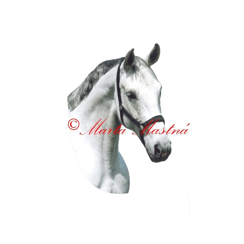 Samolepka kůň český teplokrevník Robona