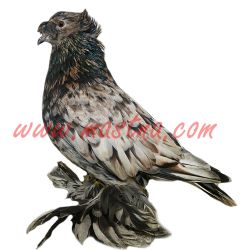 Český bublák mandlový, samolepka holub oboustranná