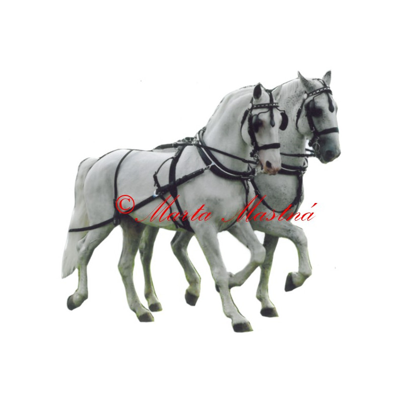 Samolepka kůň kladrubský, spřežení