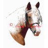 Samolepka kůň českomoravský belgik Azlina