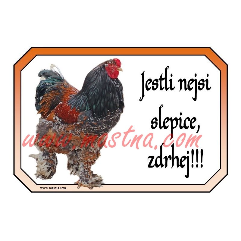 Brahmánka porcelánová, drůbež, kohout, cedulka zdrhej