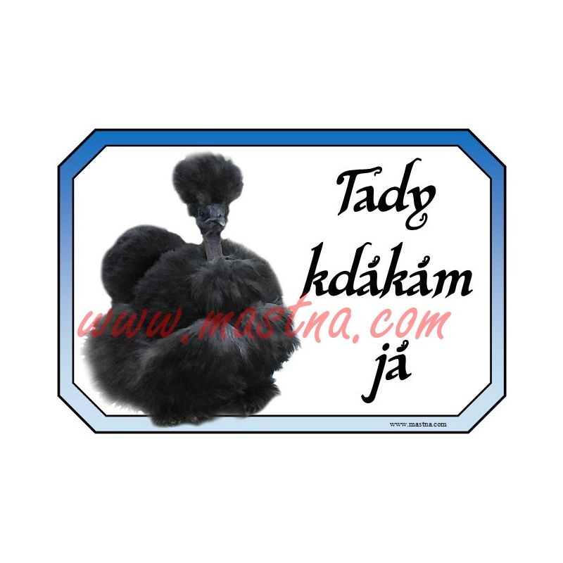 Hedvábnička holokrká černá, drůbež, slepice, cedulka kdákám