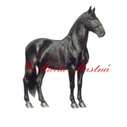 Samolepka kůň starokladrubský vraník