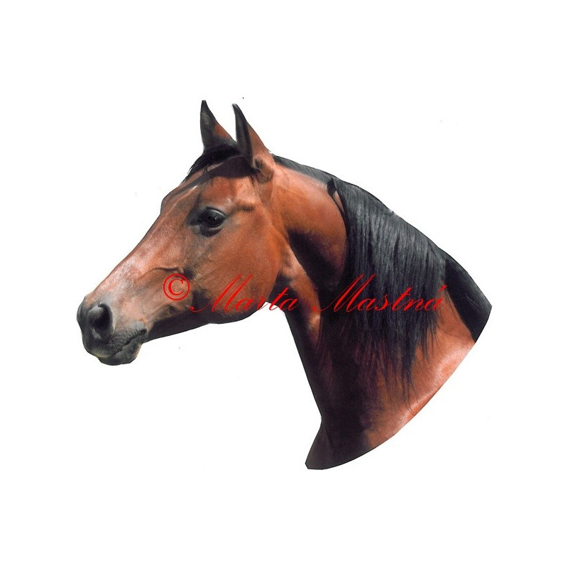 Samolepka kůň quarter horse