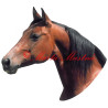 Samolepka kůň quarter horse