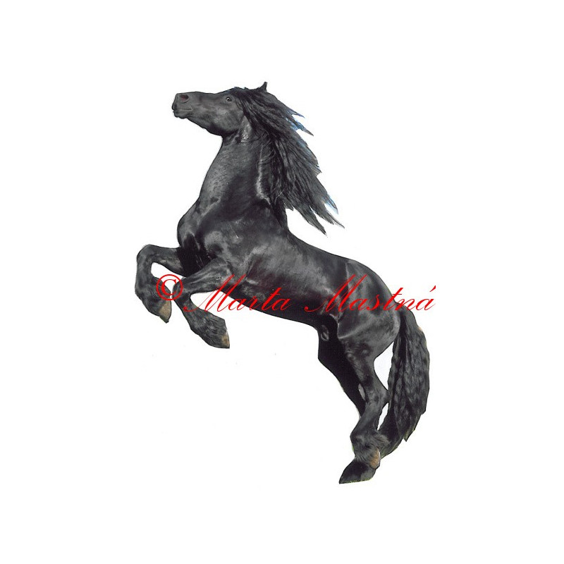 Samolepka kůň fríský