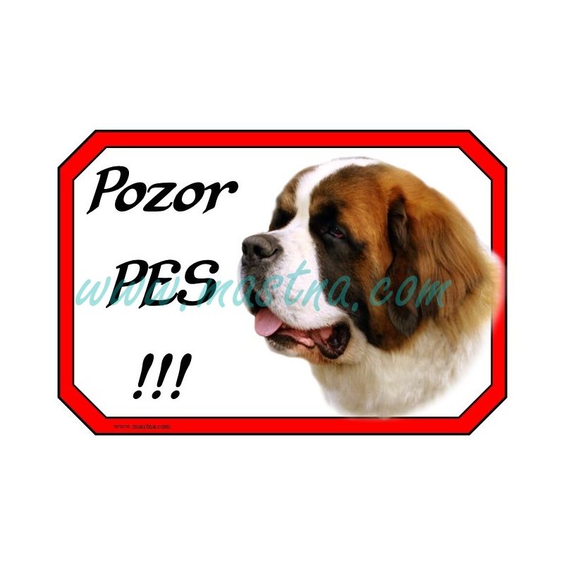 Cedulka bernardýn - svatobernardský pes pozor