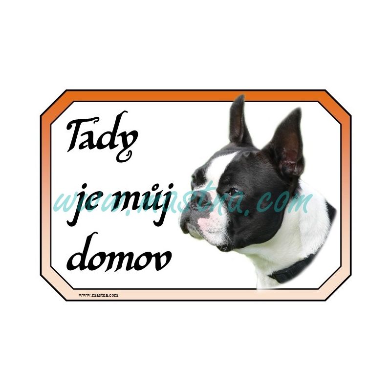Boston teriér, cedulka domov
