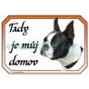 Boston teriér, cedulka domov