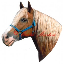 Samolepka hafling Honza, kůň, koně - archiv