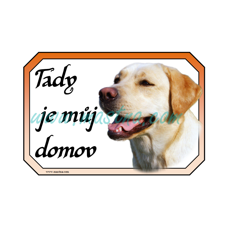 Cedulka labrador retrívr zlatý 2