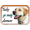 Cedulka labrador retrívr zlatý 2