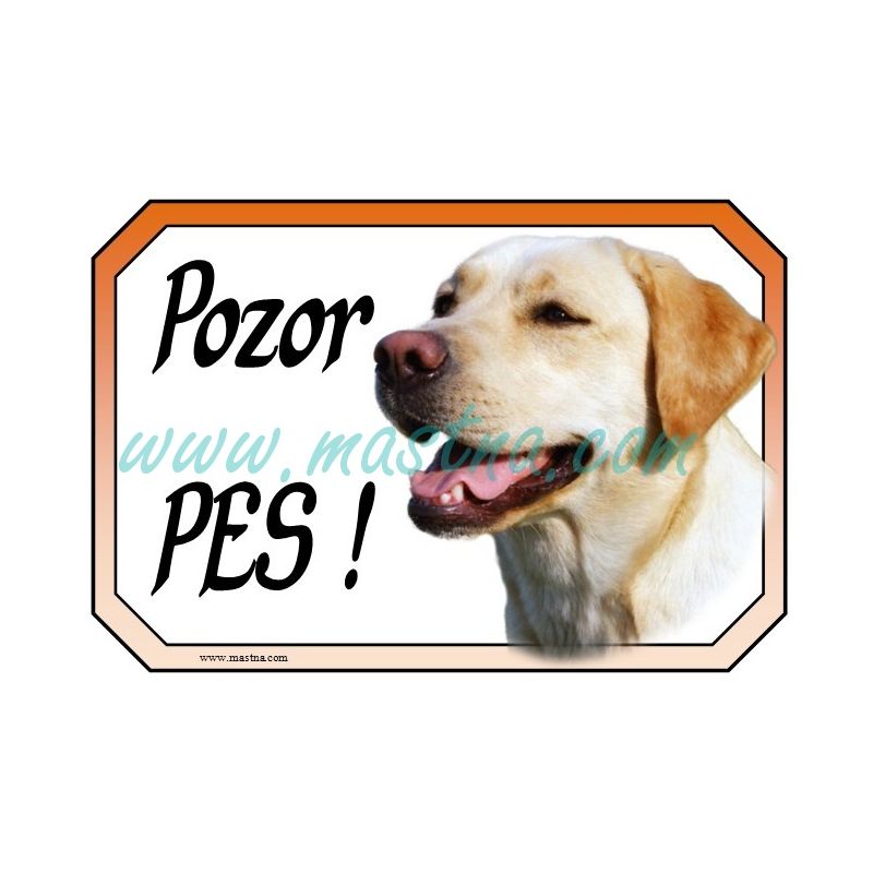 Cedulka labrador retrívr zlatý