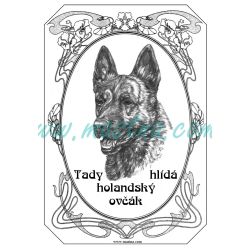 Cedulka holandský ovčák ovál