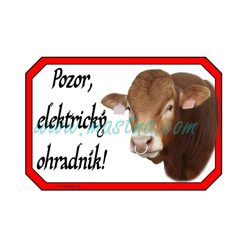 Pozor ohradník, cedulka býk limousine
