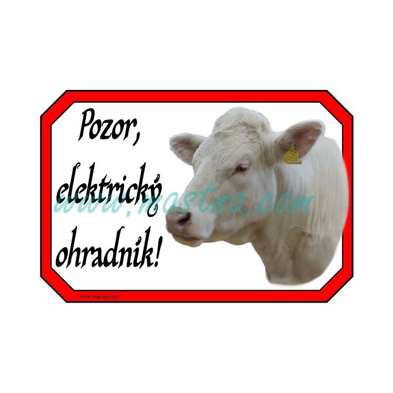 Pozor ohradník, cedulka kráva charolais