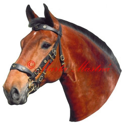 Samolepka kůň hnědák