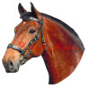 Samolepka kůň hnědák