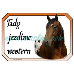 Appaloosa, cedulka koně, western