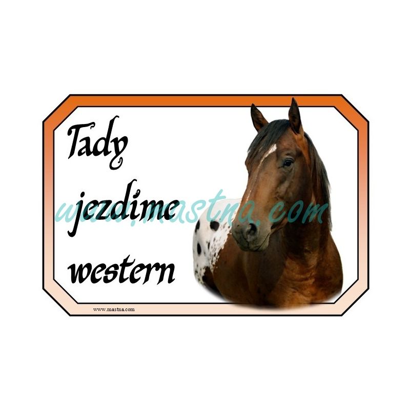 Appaloosa, cedulka koně, western