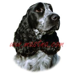 Samolepka kokršpaněl 323